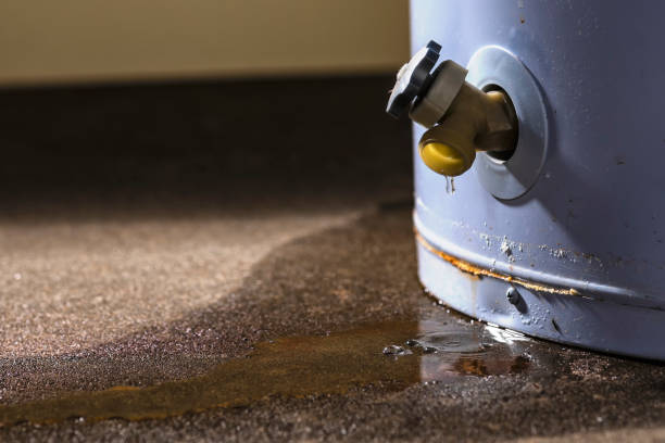 Best Sewage cleanup and water damage restoration  in Lindale, GA