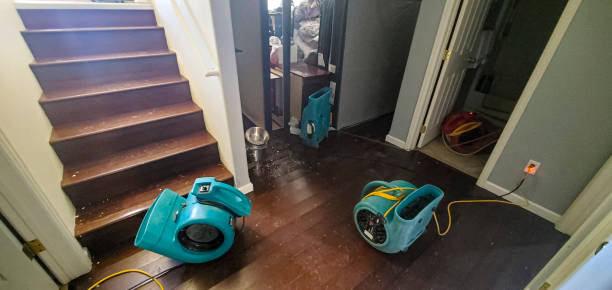 Best Water damage restoration near me  in Lindale, GA