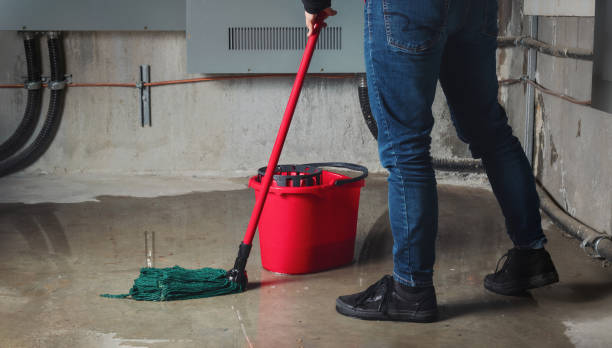 Best Basement water damage restoration  in Lindale, GA