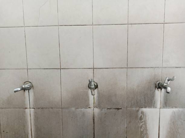 Best Local water damage restoration  in Lindale, GA