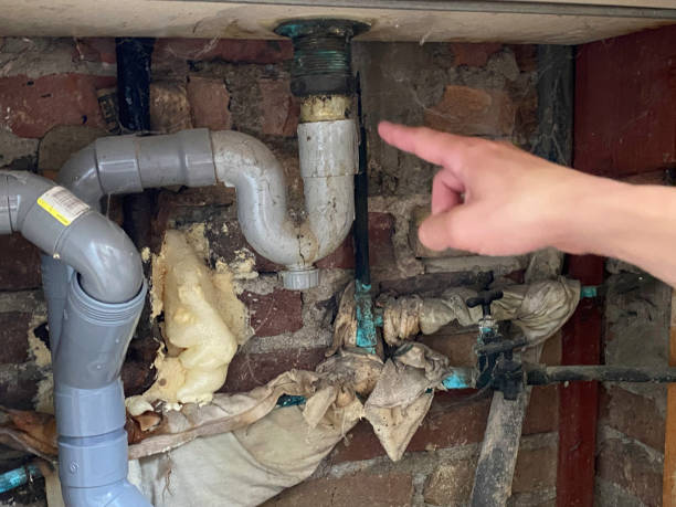 Best Mold removal after water damage  in Lindale, GA