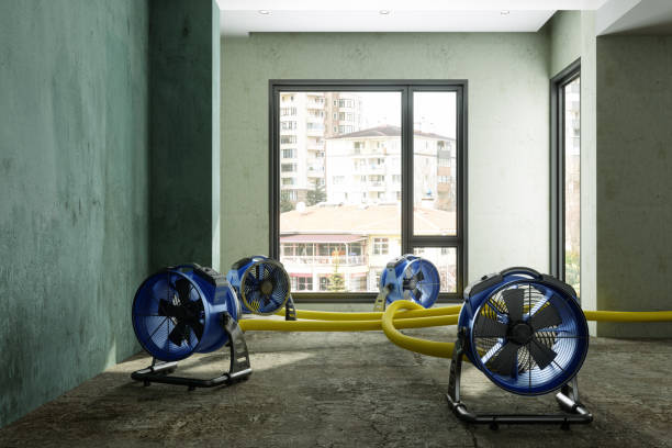 Best Basement water damage restoration  in Lindale, GA